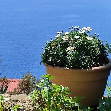 Holiday home Getaway House Gundula Podstrazje